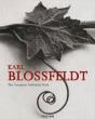 Karl Blossfeldt - Preview