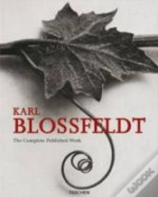 Capa do artigo Karl Blossfeldt