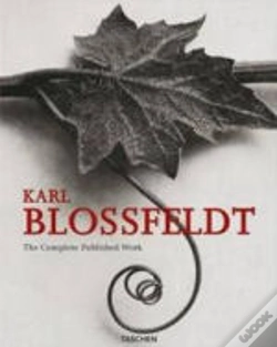 Capa do artigo Karl Blossfeldt