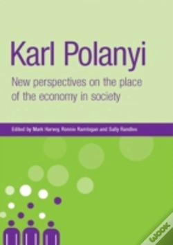Capa do artigo Karl Polanyi