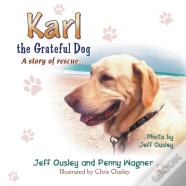 Karl The Grateful Dog