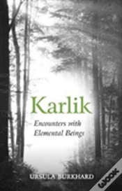 Capa do artigo Karlik