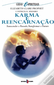 Capa do artigo Karma e Reencarnação