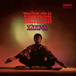 Capa do artigo Karma - Vinil