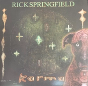 Capa do artigo Karma - Vinil