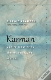 Capa do artigo Karman