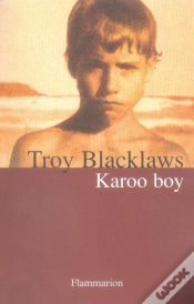 Capa do artigo Karoo Boy