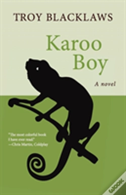 Capa do artigo Karoo Boy