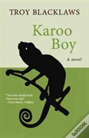 Capa do artigo Karoo Boy