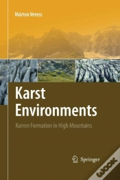 Capa do artigo Karst Environments