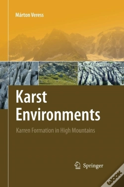 Capa do artigo Karst Environments