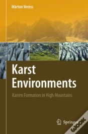 Capa do artigo Karst Environments