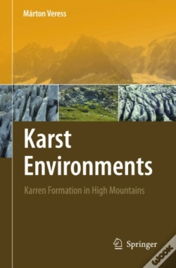 Capa do artigo Karst Environments