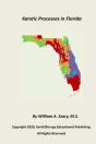 Karstic Processes In Florida - Preview