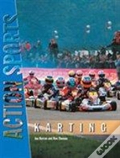 Capa do artigo Karting