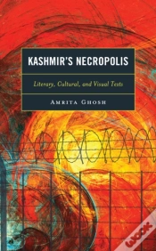 Capa do artigo Kashmir