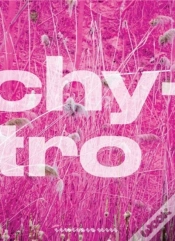 Capa do artigo Katharina Grosse
