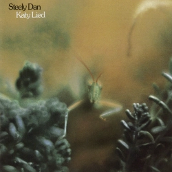 Capa do artigo Katy Lied - CD
