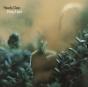 Katy Lied - Vinil - Preview