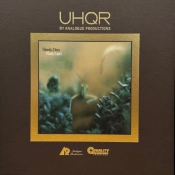 Capa do artigo Katy Lied - Vinil