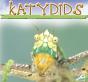 Katydids - Preview