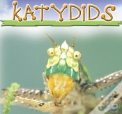 Capa do artigo Katydids
