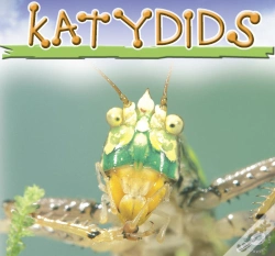 Capa do artigo Katydids