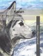 Kazan - Preview