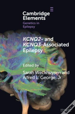 Capa do artigo Kcnq2- And Kcnq3-Associated Epilepsy