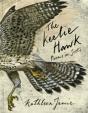 Keelie Hawk - Preview