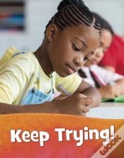Capa do artigo Keep Trying!