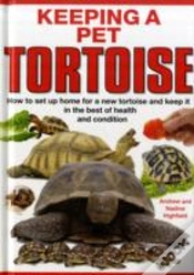 Capa do artigo Keeping A Pet Tortoise