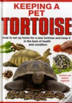 Capa do artigo Keeping A Pet Tortoise