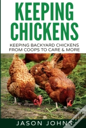 Capa do artigo Keeping Chickens For Beginners