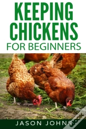 Capa do artigo Keeping Chickens For Beginners