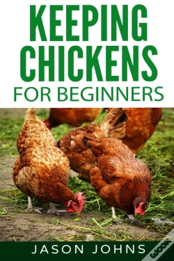 Capa do artigo Keeping Chickens For Beginners
