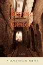 Keeping Gideon - Preview