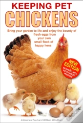 Keeping Pet Chickens