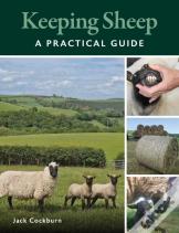 Keeping Sheep