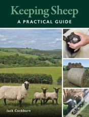 Capa do artigo Keeping Sheep