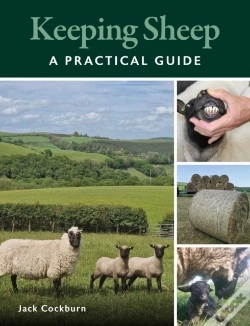 Capa do artigo Keeping Sheep