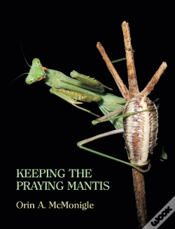 Capa do artigo Keeping The Praying Mantis