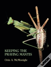 Keeping The Praying Mantis