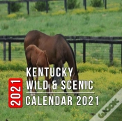 Capa do artigo Kentucky Wild