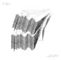 Kerber Complete - CD - Preview
