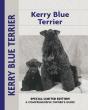 Kerry Blue Terrier - Preview