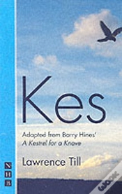 Capa do artigo Kes