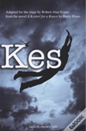 Capa do artigo Kes