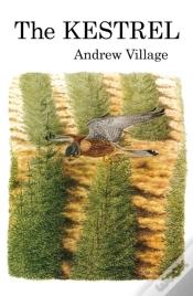 Capa do artigo Kestrel