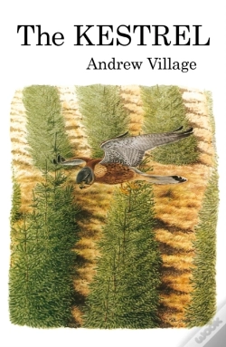 Capa do artigo Kestrel